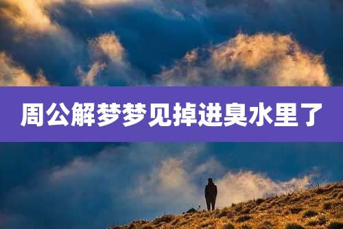 周公解梦梦见掉进臭水里了