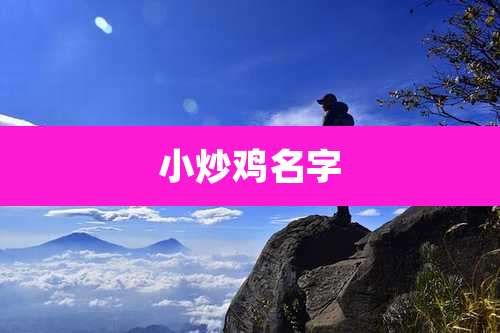 小炒鸡名字
