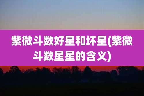 紫微斗数好星和坏星(紫微斗数星星的含义)