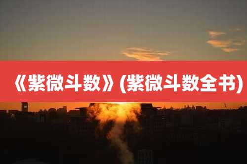 《紫微斗数》(紫微斗数全书)