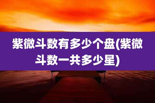 紫微斗数有多少个盘(紫微斗数一共多少星)