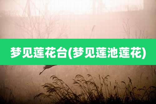 梦见莲花台(梦见莲池莲花)