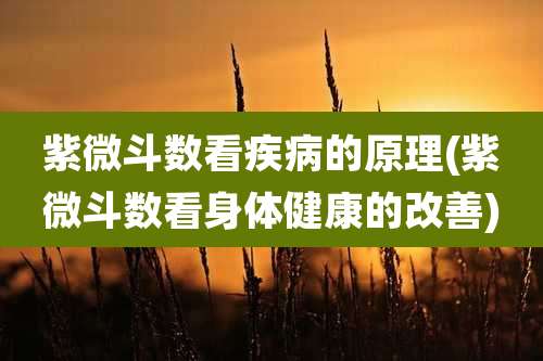 紫微斗数看疾病的原理(紫微斗数看身体健康的改善)