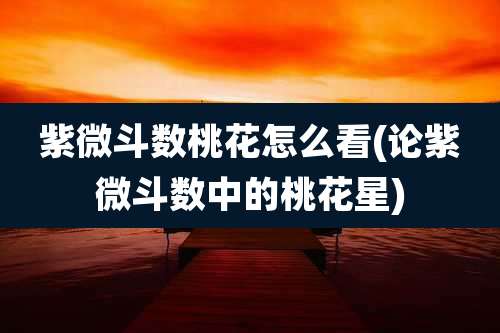 紫微斗数桃花怎么看(论紫微斗数中的桃花星)