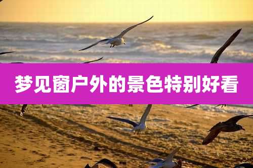 梦见窗户外的景色特别好看