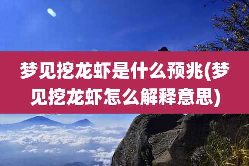 梦见挖龙虾是什么预兆(梦见挖龙虾怎么解释意思)