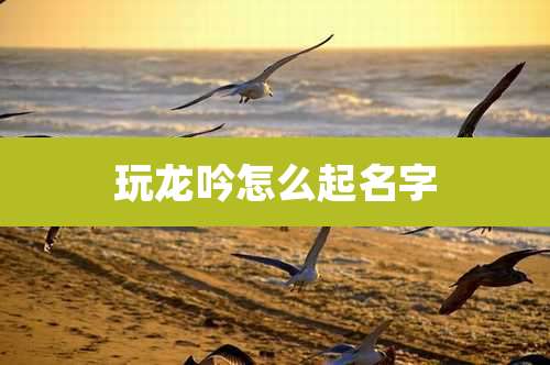 玩龙吟怎么起名字