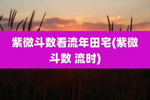 紫微斗数看流年田宅(紫微斗数 流时)