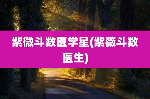 紫微斗数医学星(紫薇斗数医生)