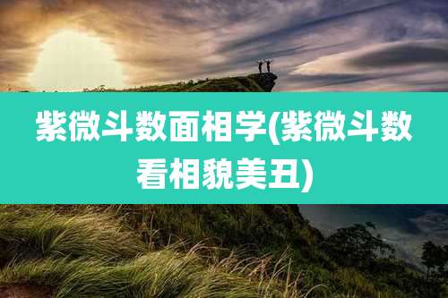 紫微斗数面相学(紫微斗数看相貌美丑)