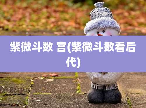 紫微斗数 宫(紫微斗数看后代)