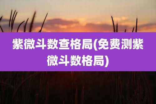 紫微斗数查格局(免费测紫微斗数格局)