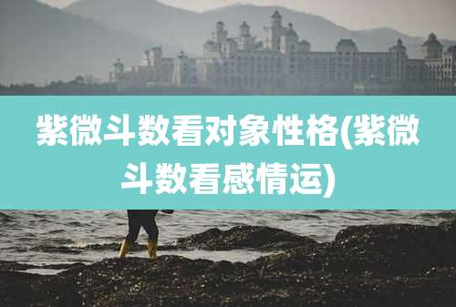 紫微斗数看对象性格(紫微斗数看感情运)