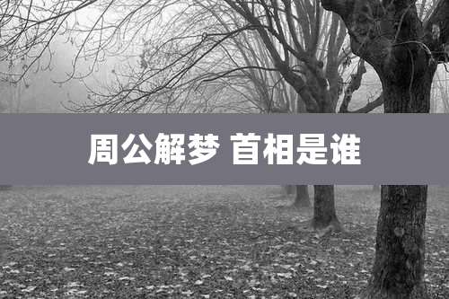周公解梦 首相是谁
