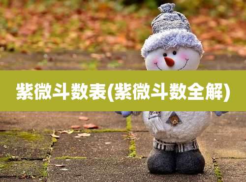 紫微斗数表(紫微斗数全解)