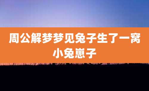 周公解梦梦见兔子生了一窝小兔崽子