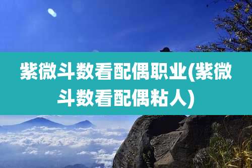 紫微斗数看配偶职业(紫微斗数看配偶粘人)