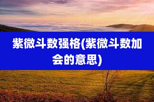 紫微斗数强格(紫微斗数加会的意思)
