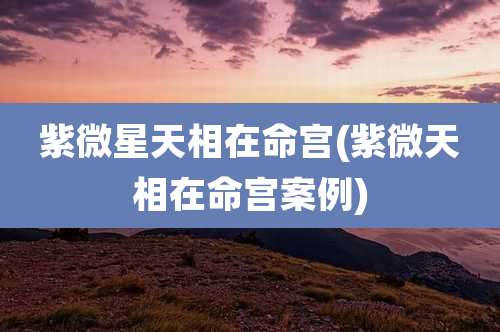 紫微星天相在命宫(紫微天相在命宫案例)