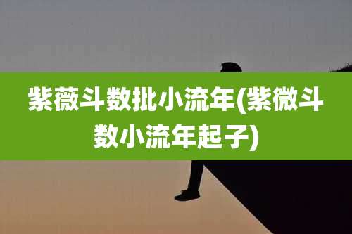 紫薇斗数批小流年(紫微斗数小流年起子)