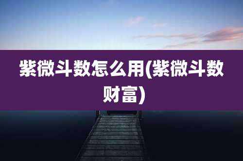 紫微斗数怎么用(紫微斗数 财富)