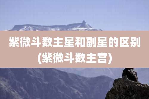 紫微斗数主星和副星的区别(紫微斗数主宫)