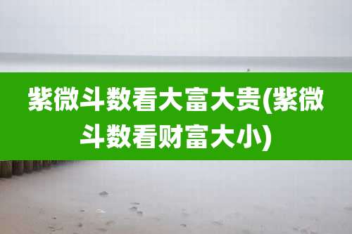 紫微斗数看大富大贵(紫微斗数看财富大小)