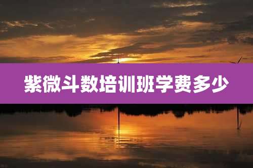 紫微斗数培训班学费多少