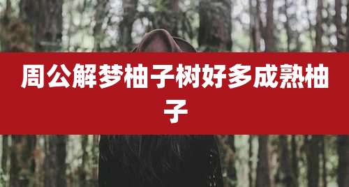 周公解梦柚子树好多成熟柚子