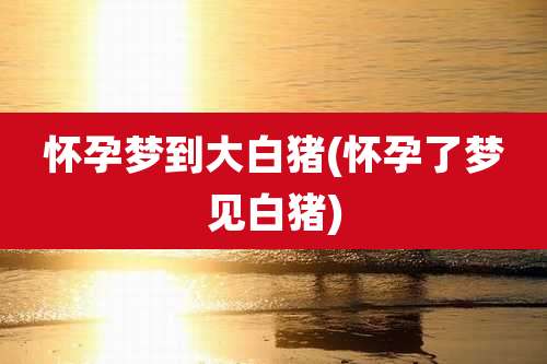 怀孕梦到大白猪(怀孕了梦见白猪)