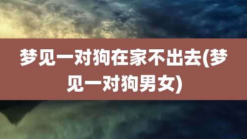 梦见一对狗在家不出去(梦见一对狗男女)