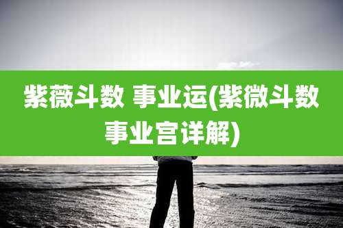 紫薇斗数 事业运(紫微斗数事业宫详解)