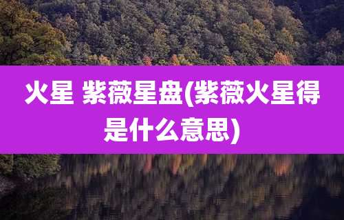 火星 紫薇星盘(紫薇火星得是什么意思)