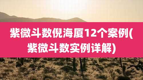 紫微斗数倪海厦12个案例(紫微斗数实例详解)