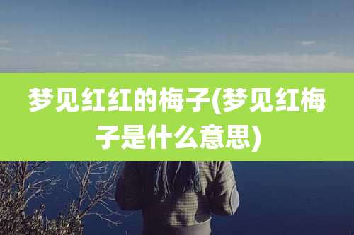 梦见红红的梅子(梦见红梅子是什么意思)