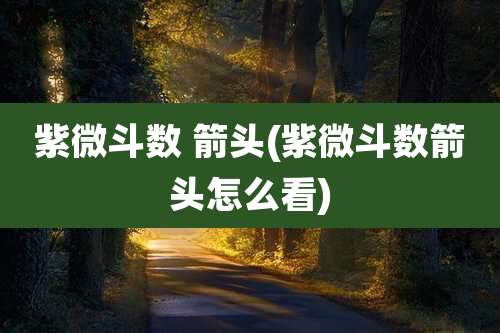 紫微斗数 箭头(紫微斗数箭头怎么看)