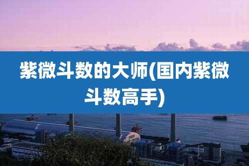 紫微斗数的大师(国内紫微斗数高手)