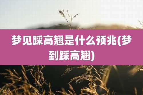 梦见踩高翘是什么预兆(梦到踩高翘)