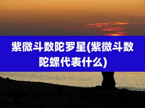 紫微斗数陀罗星(紫微斗数陀螺代表什么)