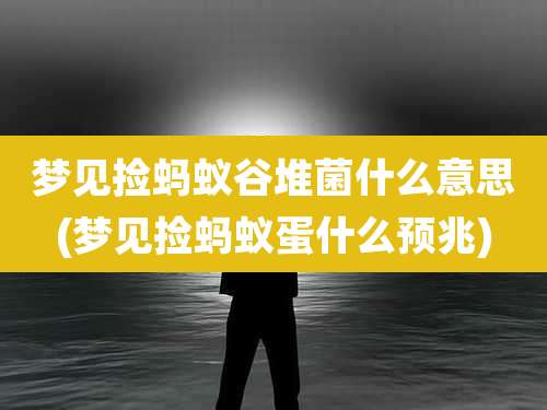 梦见捡蚂蚁谷堆菌什么意思(梦见捡蚂蚁蛋什么预兆)