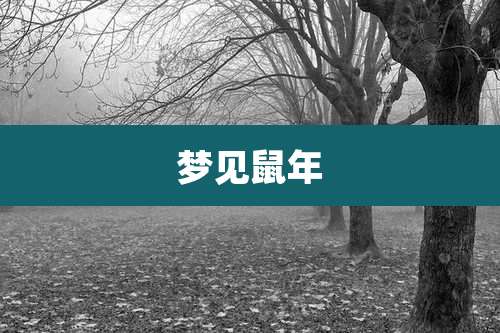 梦见鼠年