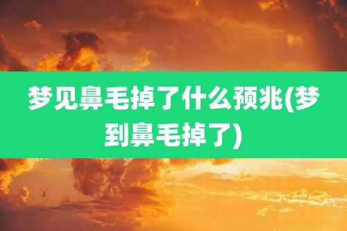 梦见鼻毛掉了什么预兆(梦到鼻毛掉了)