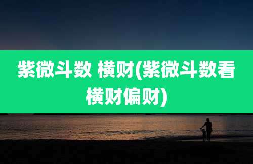 紫微斗数 横财(紫微斗数看横财偏财)