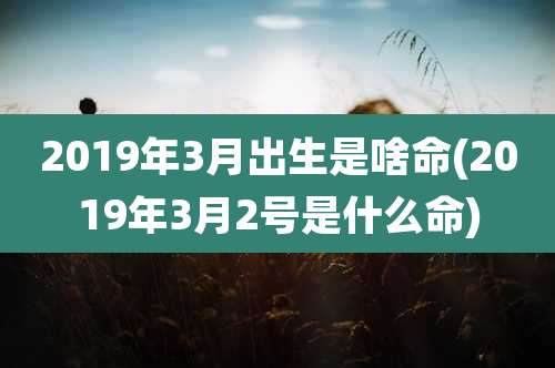 2019年3月出生是啥命(2019年3月2号是什么命)