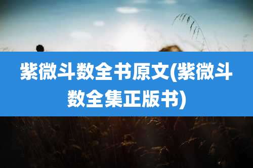 紫微斗数全书原文(紫微斗数全集正版书)