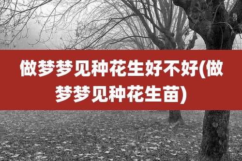 做梦梦见种花生好不好(做梦梦见种花生苗)