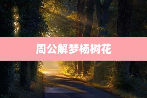 周公解梦杨树花