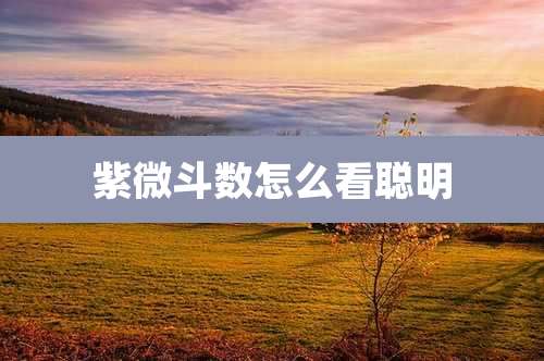 紫微斗数怎么看聪明