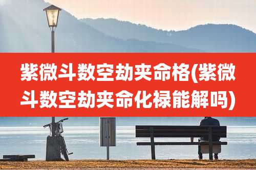 紫微斗数空劫夹命格(紫微斗数空劫夹命化禄能解吗)