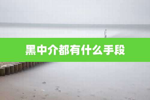 黑中介都有什么手段